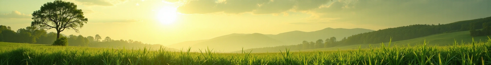 Serene natural landscape representing growth and purity
